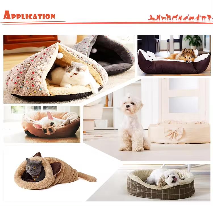 Cat Dog Bed Application